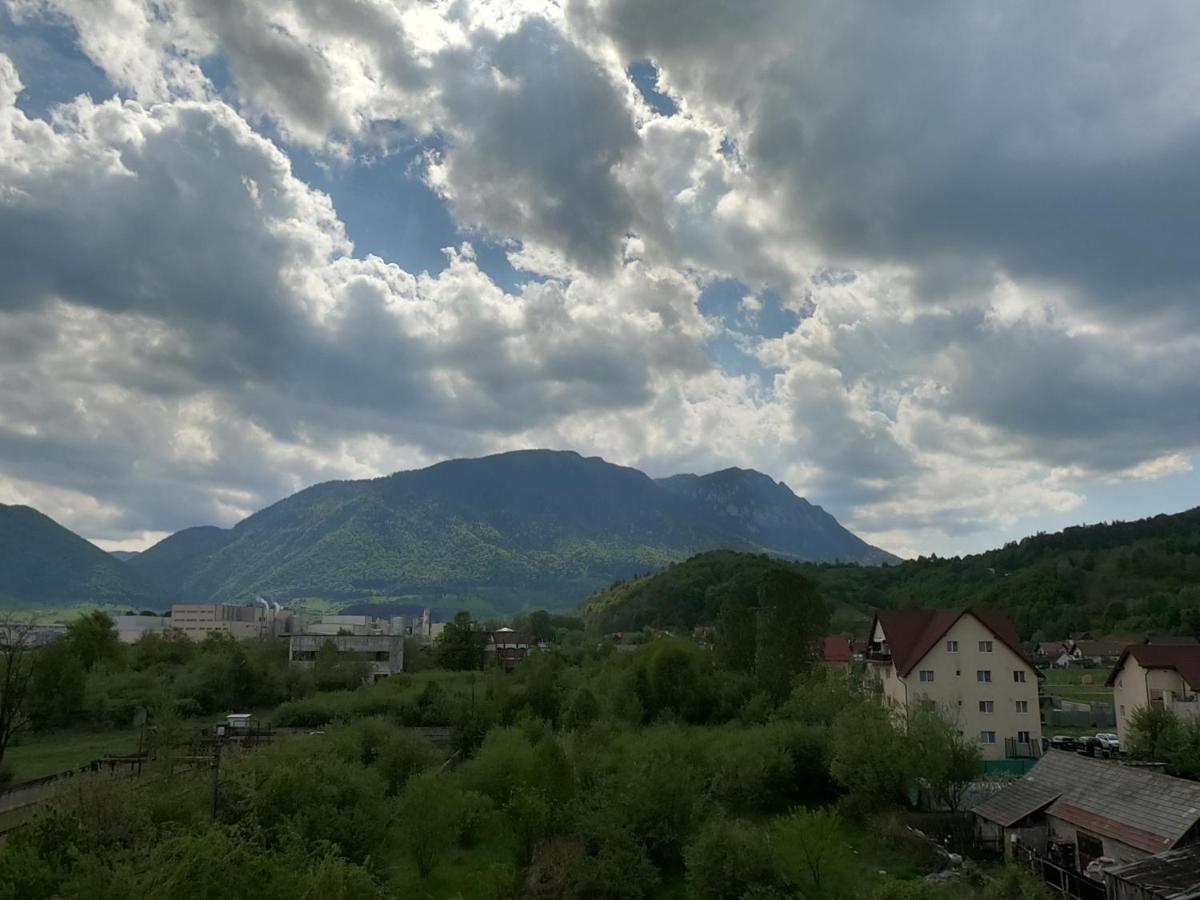 Panoramic Residence Zărneşti Exterior foto